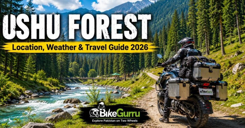 Ushu Forest Location, Weather & Travel Guide 2026